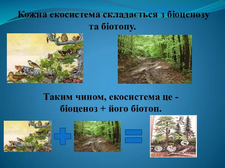 Кожна екосистема складається з біоценозу та біотопу. Таким чином, екосистема це - біоценоз + його біотоп.