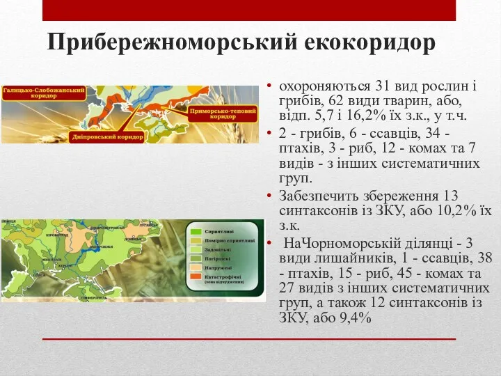 Прибережноморський екокоридор охороняються 31 вид рослин і грибів, 62 види