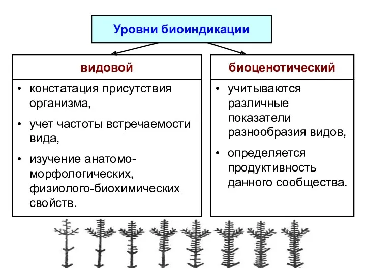 видовой Уровни биоиндикации биоценотический констатация присутствия организма, учет частоты встречаемости