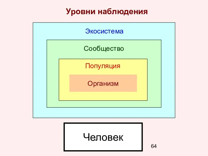 Организм Популяция Сообщество Экосистема Человек Уровни наблюдения