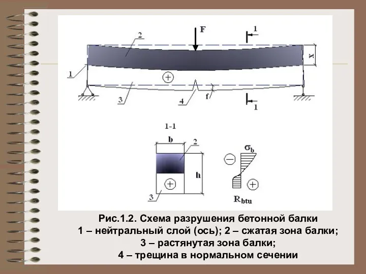 Рис.1.2. Схема разрушения бетонной балки 1 – нейтральный слой (ось);