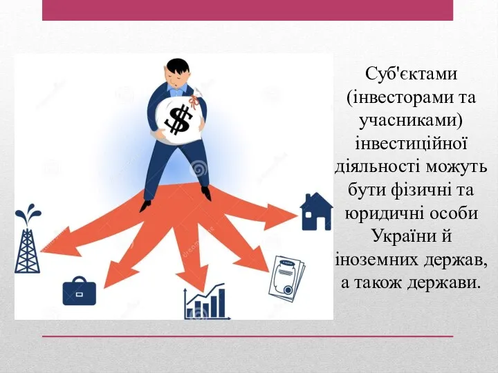 Суб'єктами (інвесторами та учасниками) інвестиційної діяльності можуть бути фізичні та юридичні особи України