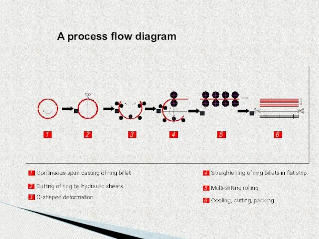 A process flow diagram