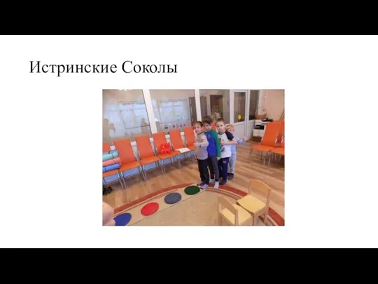 Истринские Соколы