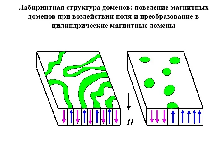 Лабиринтная структура доменов: поведение магнитных доменов при воздействии поля и преобразование в цилиндрические магнитные домены