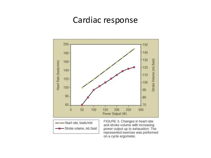Cardiac response