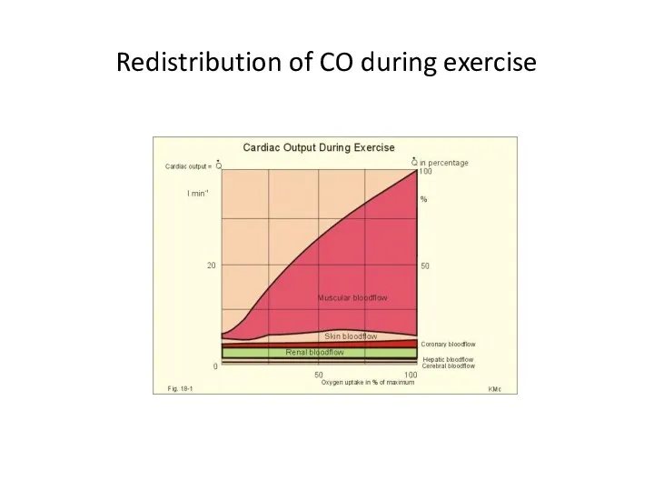 Redistribution of CO during exercise