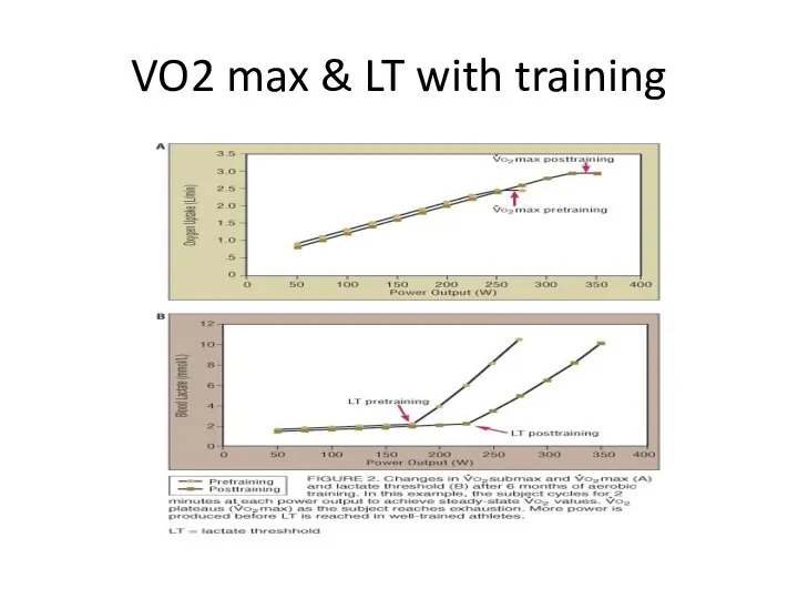 VO2 max & LT with training