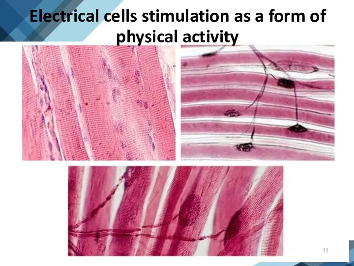 Electrical cells stimulation as a form of physical activity