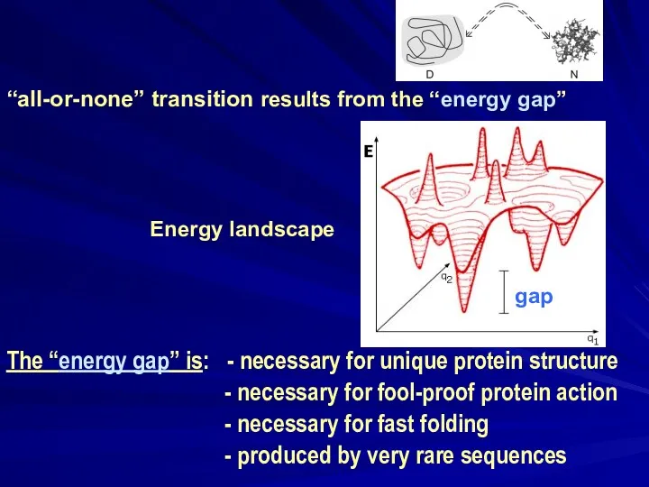 “all-or-none” transition results from the “energy gap” Energy landscape The