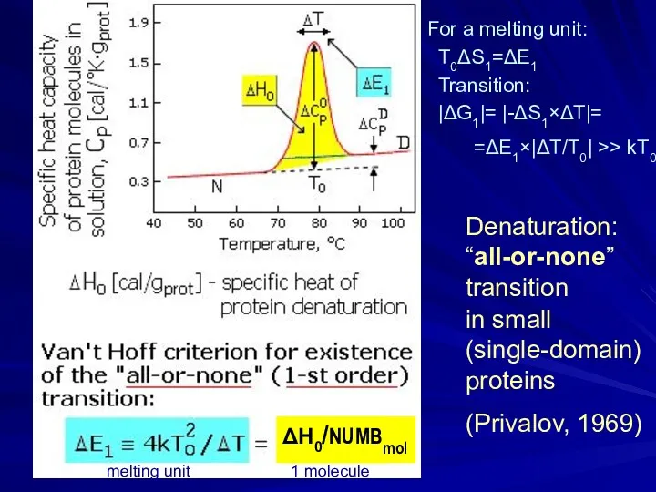 Denaturation: “all-or-none” transition in small (single-domain) proteins (Privalov, 1969) For