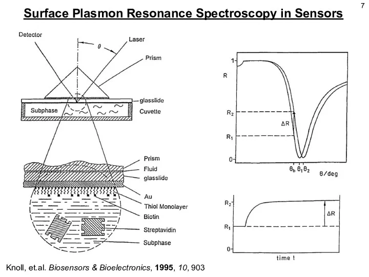 Knoll, et.al. Biosensors & Bioelectronics, 1995, 10, 903 Surface Plasmon Resonance Spectroscopy in Sensors 7
