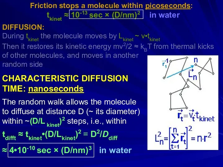 Friction stops a molecule within picoseconds: tkinet ≈ 10-13 sec × (D/nm)2 in