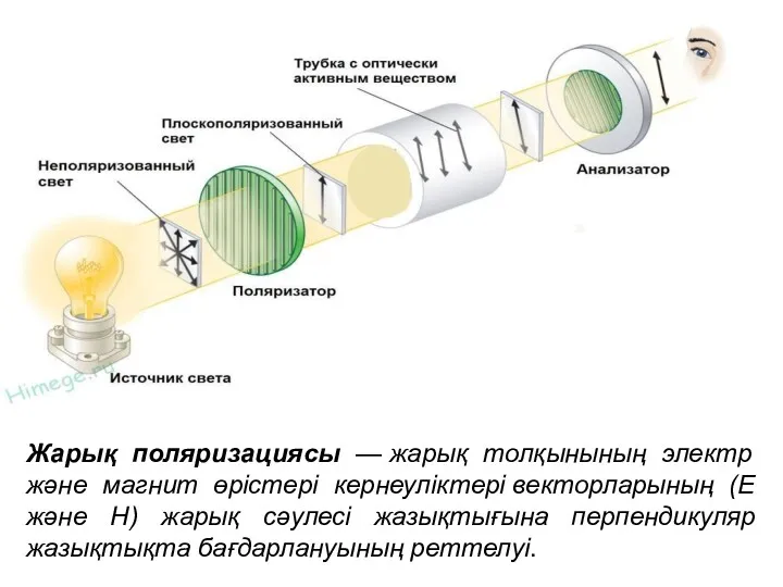 Жарық поляризациясы — жарық толқынының электр және магнит өрістері кернеуліктері