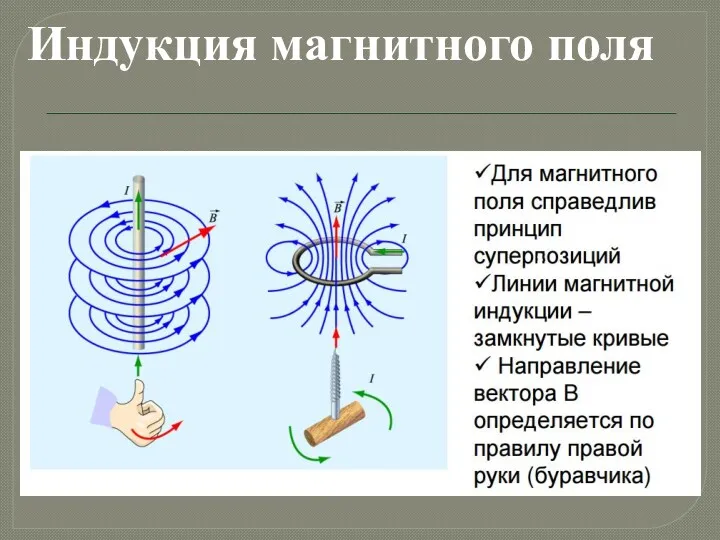 Индукция магнитного поля