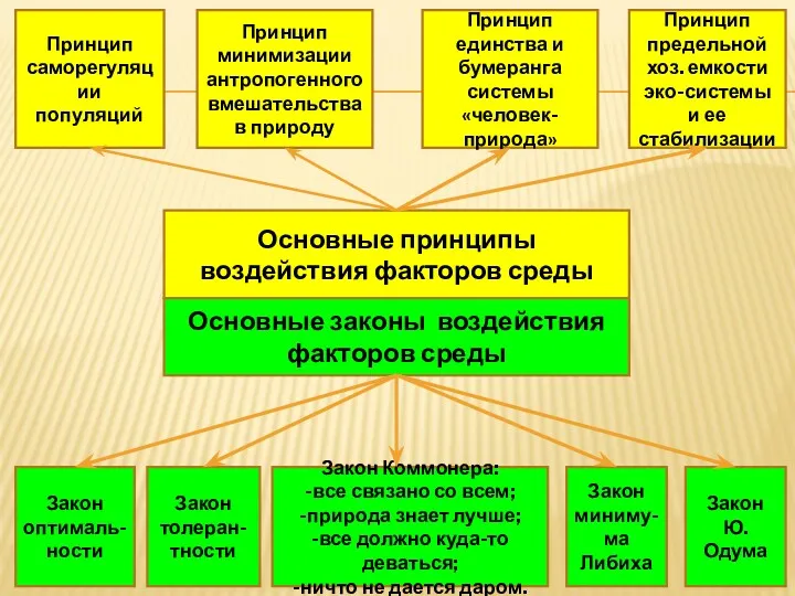 Основные принципы воздействия факторов среды Основные законы воздействия факторов среды