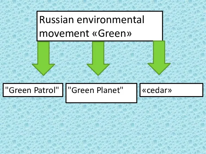 Russian environmental movement «Green» "Green Patrol" "Green Planet" «cedar»