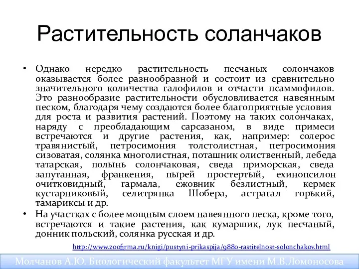 Растительность соланчаков Однако нередко растительность песчаных солончаков оказывается более разнообразной