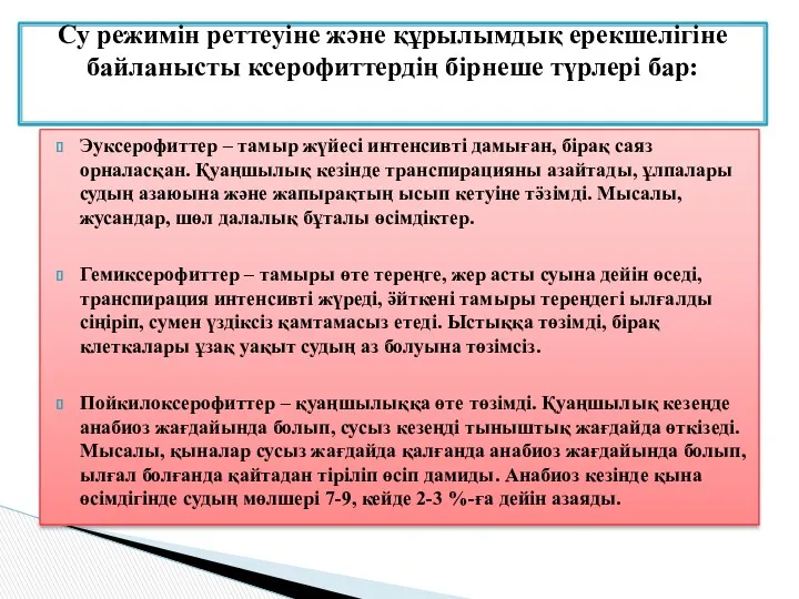 Эуксерофиттер – тамыр жүйесі интенсивті дамыған, бірақ саяз орналасқан. Қуаңшылық