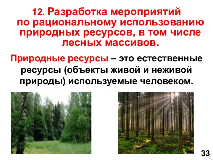 12. Разработка мероприятий по рациональному использованию природных ресурсов, в том числе лесных массивов.