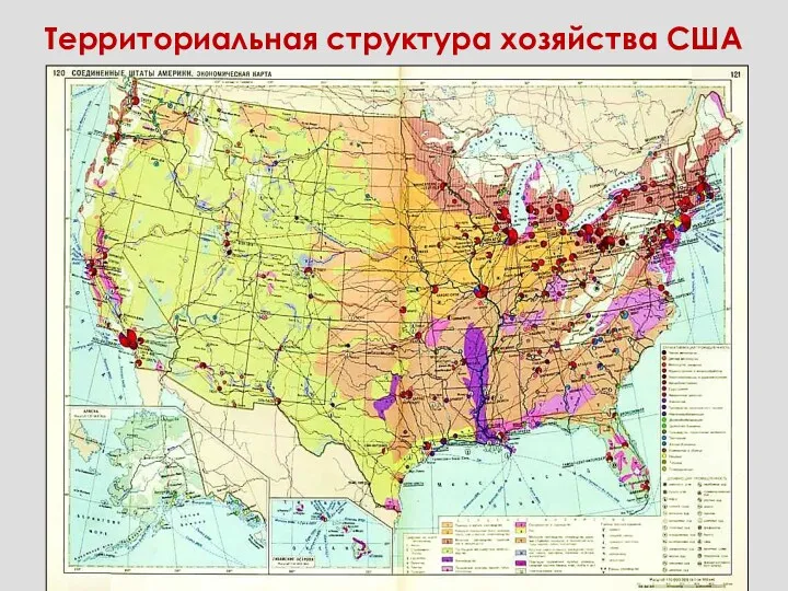 Территориальная структура хозяйства США