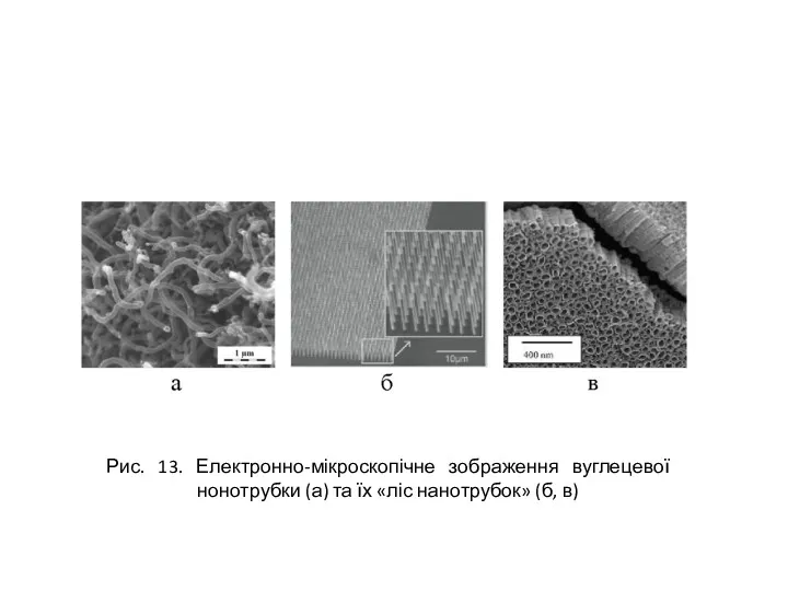 Рис. 13. Електронно-мікроскопічне зображення вуглецевої нонотрубки (а) та їх «ліс нанотрубок» (б, в)