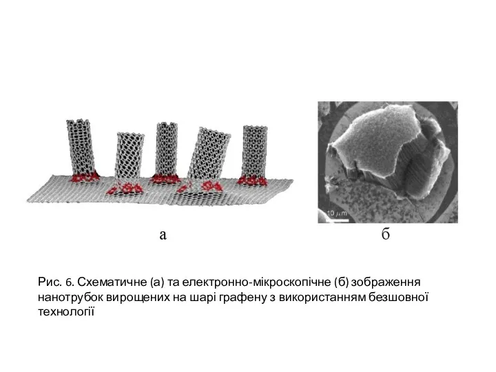 Рис. 6. Схематичне (а) та електронно-мікроскопічне (б) зображення нанотрубок вирощених на шарі графену