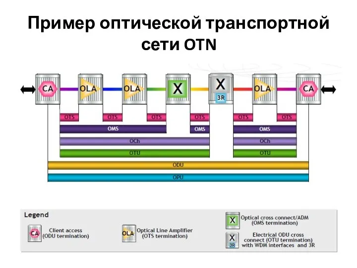 Пример оптической транспортной сети OTN