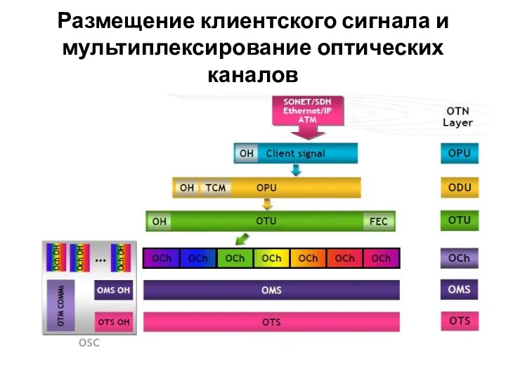 Размещение клиентского сигнала и мультиплексирование оптических каналов