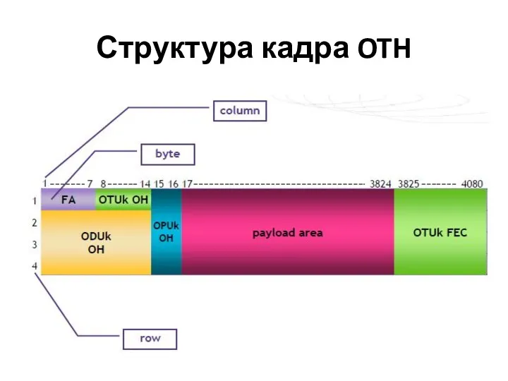 Структура кадра OTH