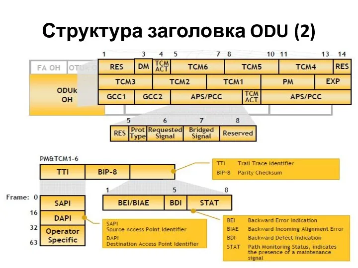Структура заголовка ODU (2)