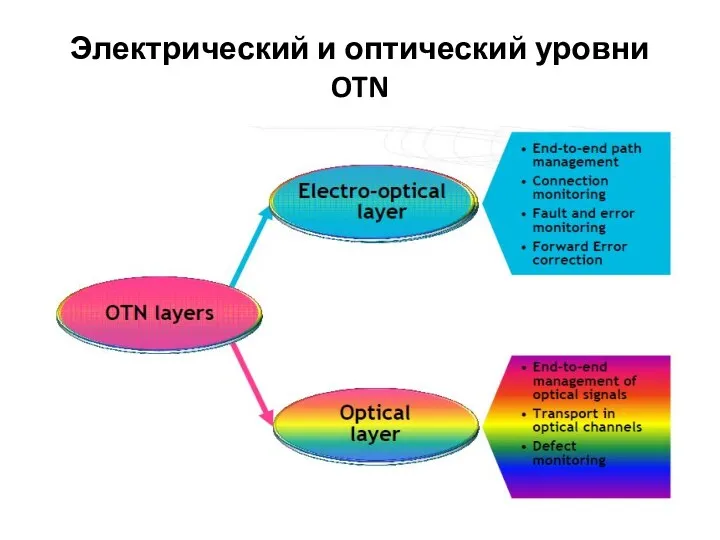 Электрический и оптический уровни OTN