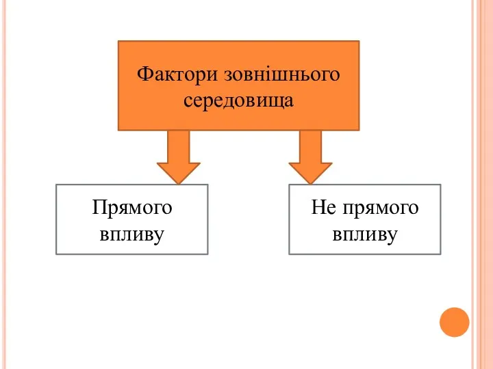 Фактори зовнішнього середовища Прямого впливу Не прямого впливу