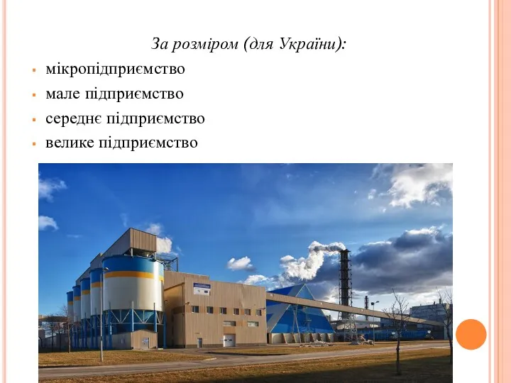 За розміром (для України): мікропідприємство мале підприємство середнє підприємство велике підприємство