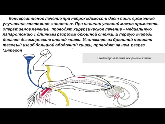 Консервативное лечение при непроходимости дает лишь временное улучшение состояния животных.