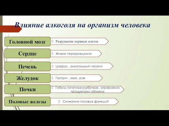 Влияние алкоголя на организм человека Головной мозг Половые железы Разрушение