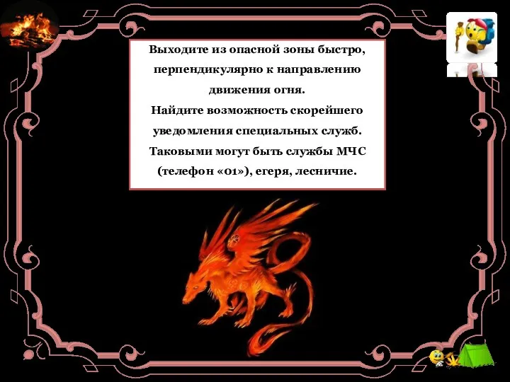 Что делать, если вы заметили признаки лесного пожара? Выходите из