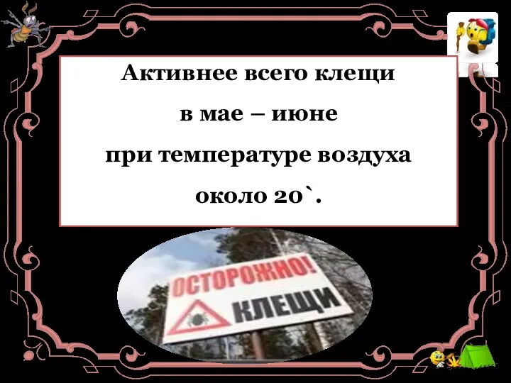 Клещ способен заразить человека 5-ю разными болезнями. Самые опасные –