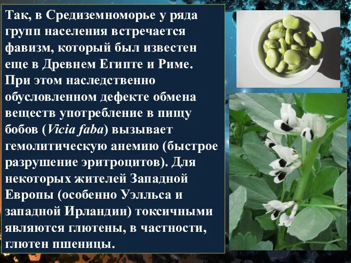 Так, в Средиземноморье у ряда групп населения встречается фавизм, который