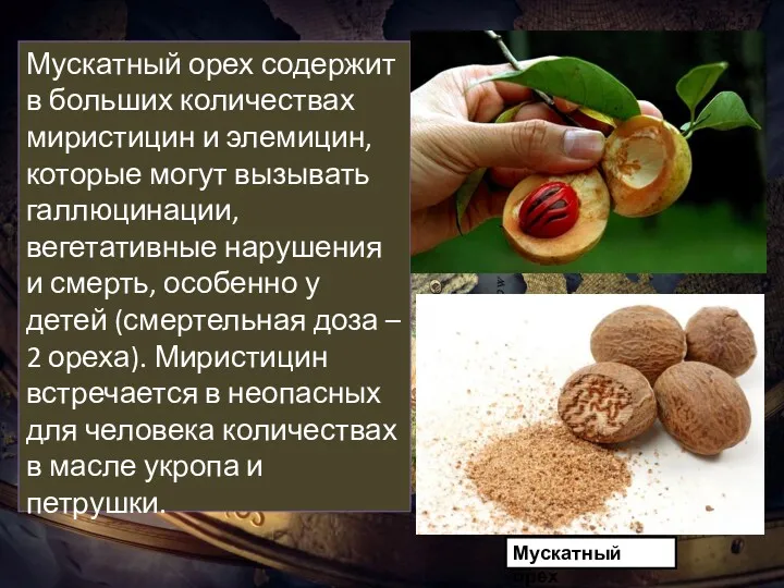 Мускатный орех содержит в больших количествах миристицин и элемицин, которые
