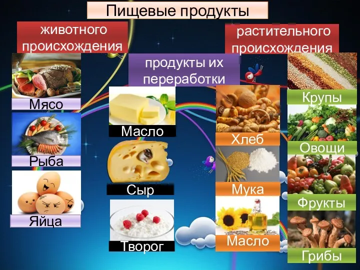 Пищевые продукты растительного происхождения животного происхождения продукты их переработки Сыр