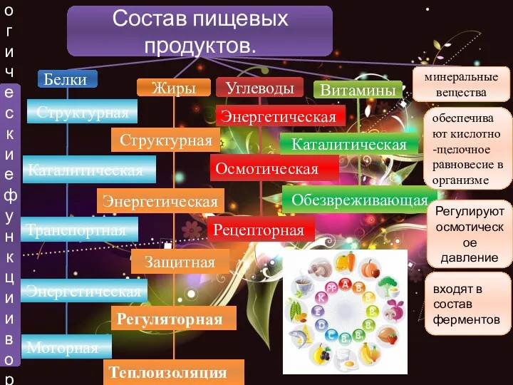 Состав пищевых продуктов. Витамины Белки Углеводы минеральные вещества Жиры Каталитическая