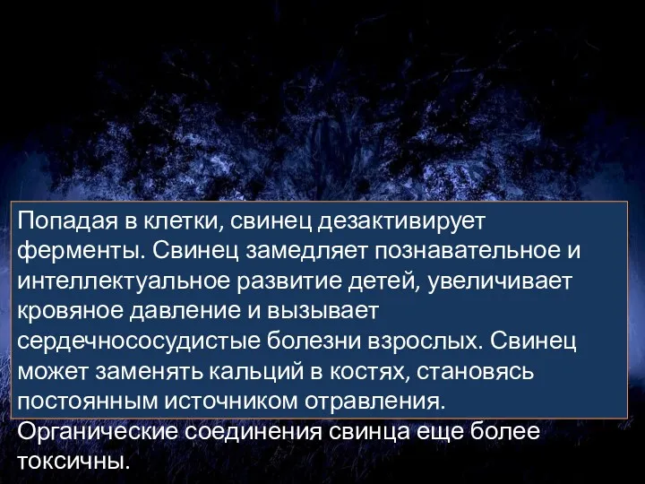 Попадая в клетки, свинец дезактивирует ферменты. Свинец замедляет познавательное и