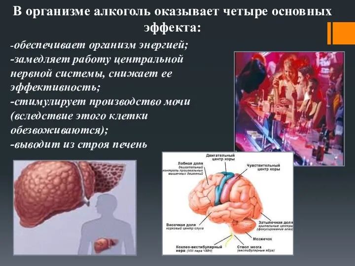 В организме алкоголь оказывает четыре основных эффекта: -обеспечивает организм энергией;