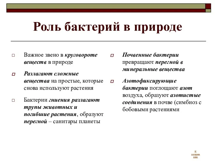 Роль бактерий в природе Важное звено в круговороте веществ в