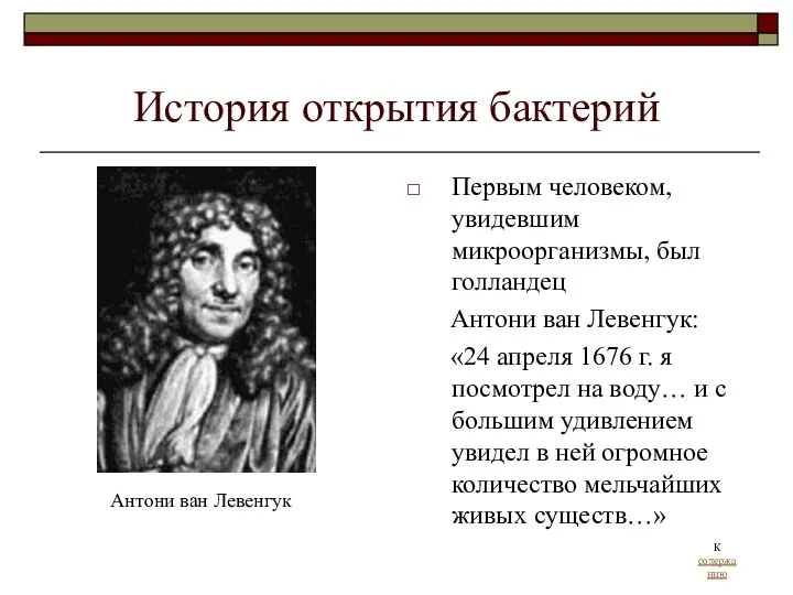 История открытия бактерий Антони ван Левенгук Первым человеком, увидевшим микроорганизмы,