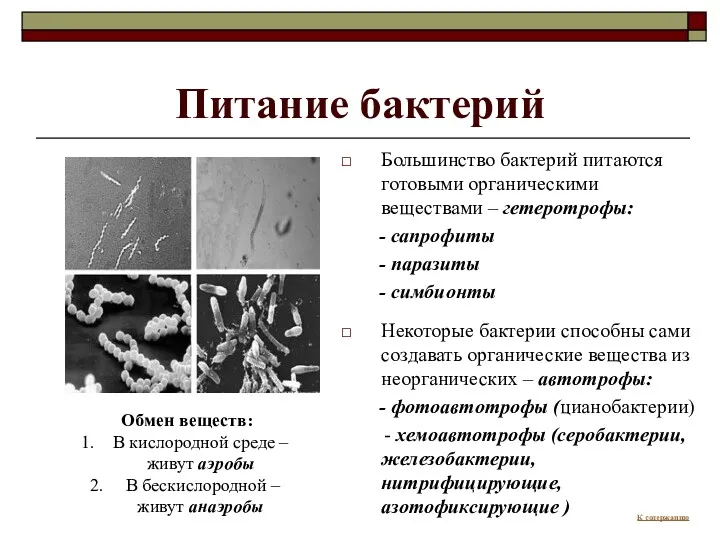 Питание бактерий Большинство бактерий питаются готовыми органическими веществами – гетеротрофы: