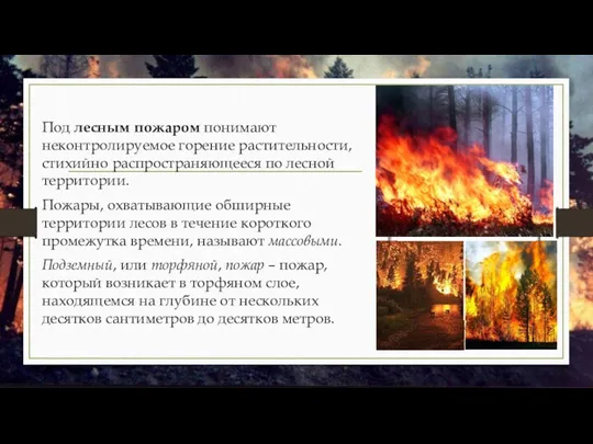 Под лесным пожаром понимают неконтролируемое горение растительности, стихийно распространяющееся по