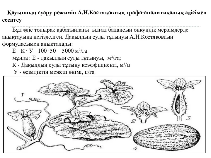 Қауынның суару режимін А.Н.Костяковтың графо-аналитикалық әдісімен есептеу Бұл әдіс топырақ
