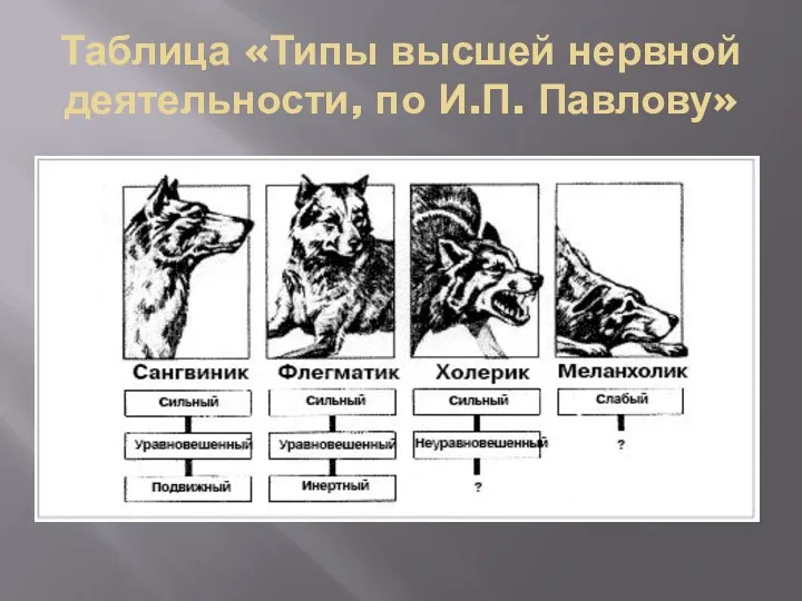 Таблица «Типы высшей нервной деятельности, по И.П. Павлову»